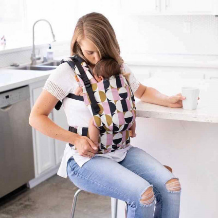 Tula Free To Grow Lovely baby carrier