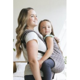 Tula Preschool Carrier Mason