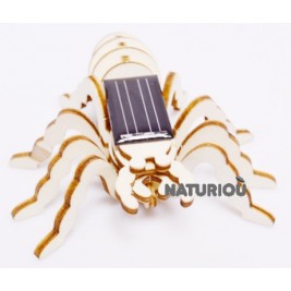 Maquette d'araignée solaire Héliobil