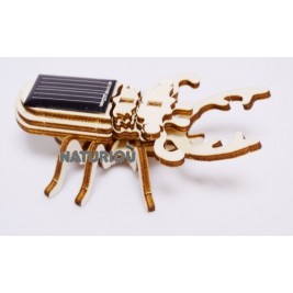 Maquette de scarabée solaire Héliobil