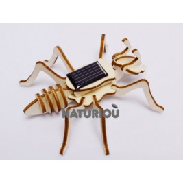 Maquette fourmi solaire Héliobil