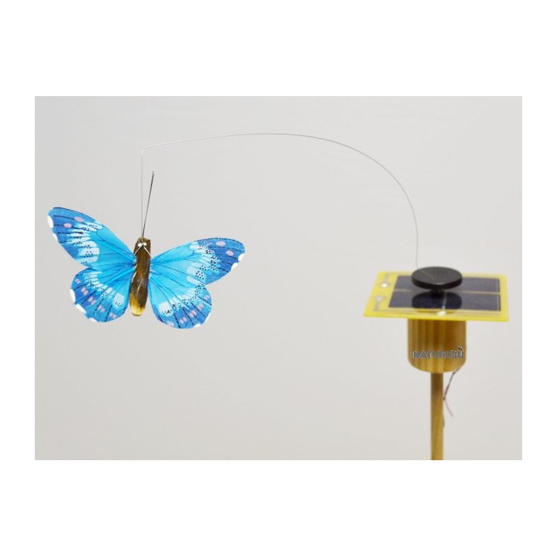 papillon solaire Hélibiol grande qualité et superbe effet Couleur Bleu