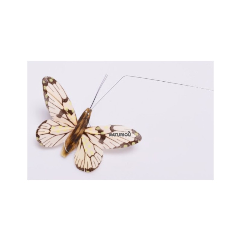 Papillons Suspendus en Couple au Vol Perpétuel : HélioBil
