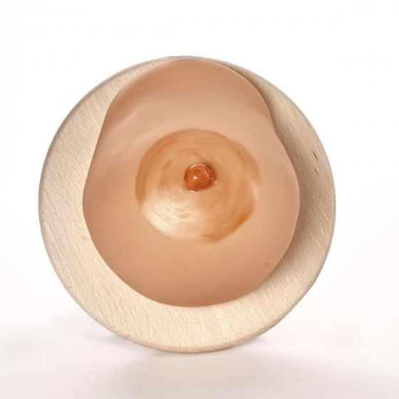 Model of Female Breast