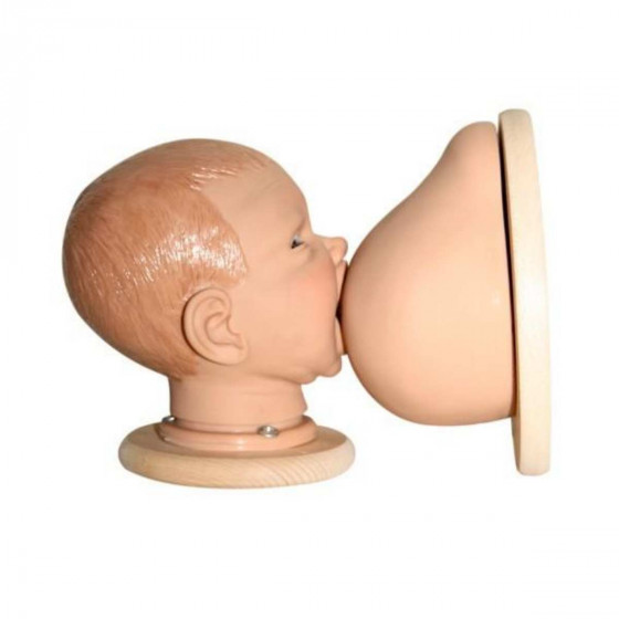 Ensemble démonstration d'allaitement : modèle de sein et tête de poupon