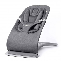 Ergobaby Evolve Transat 3-en-1