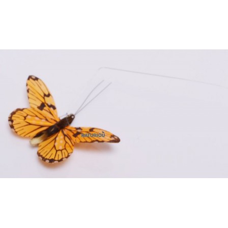 Papillon solaire Héliobil orange