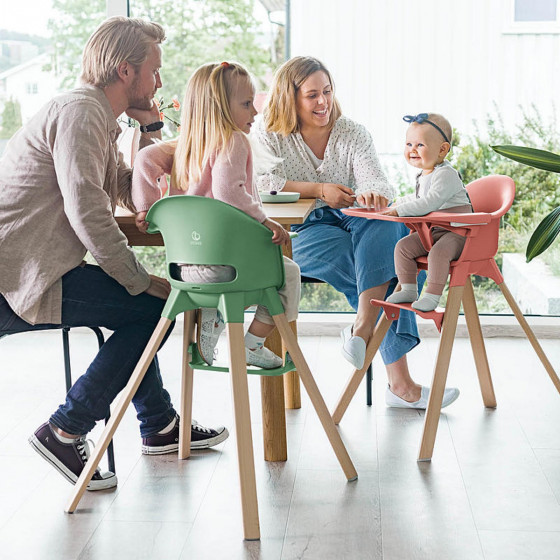 Stokke Clikk High Chair