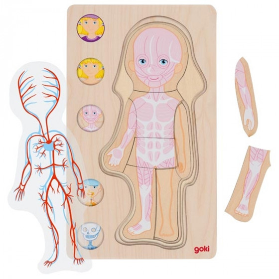 Goki Puzzle human body - girl