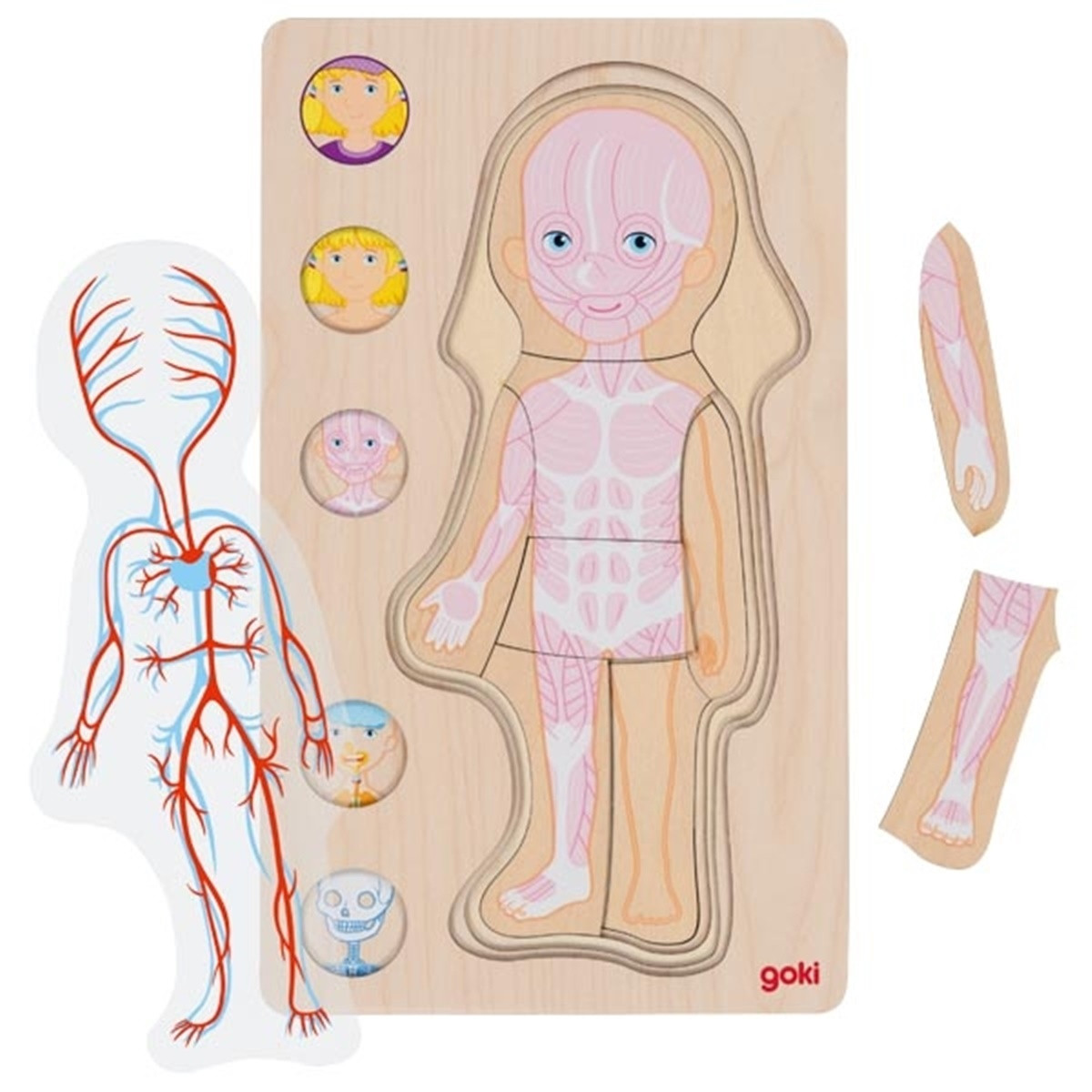 Goki Puzzle Le corps humain - Modèle fille