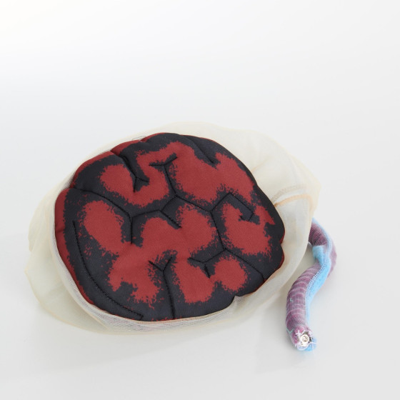 Placenta and Cord Model + Fetus Demonstration Doll 45cm 500g