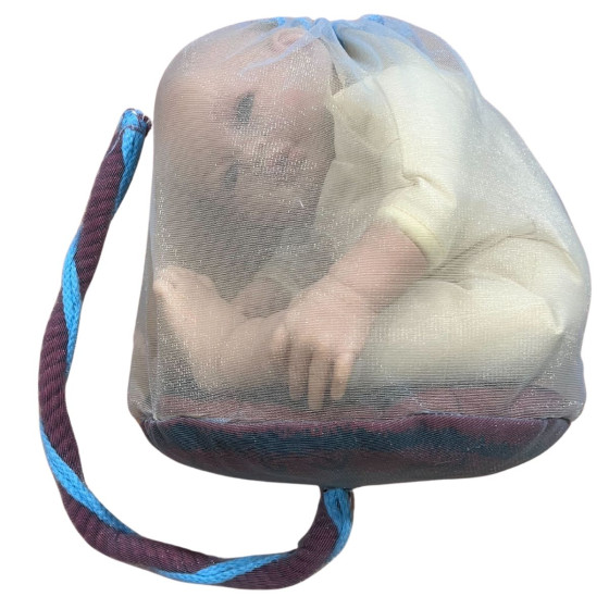 Placenta et cordon ombilical de démonstration
