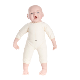 Fetus Demonstration Doll 45cm 500g