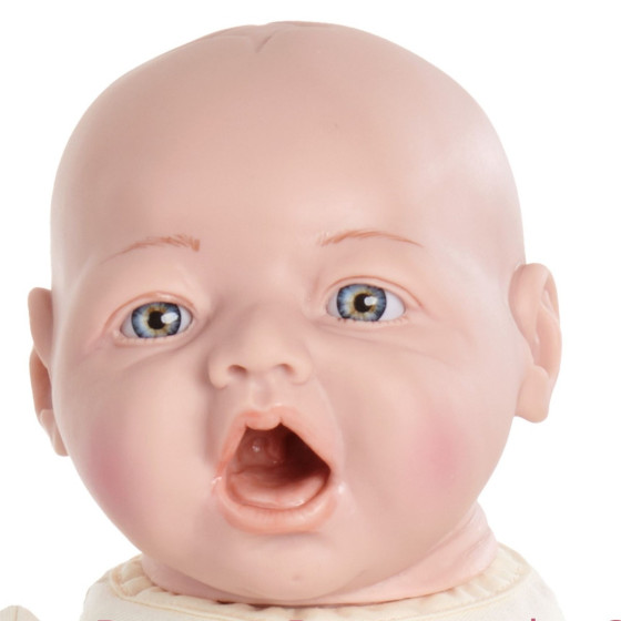 Fetus Demonstration Doll 45cm 500g