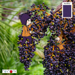 Body manches longues évolutif Manymonths - Acai Berry