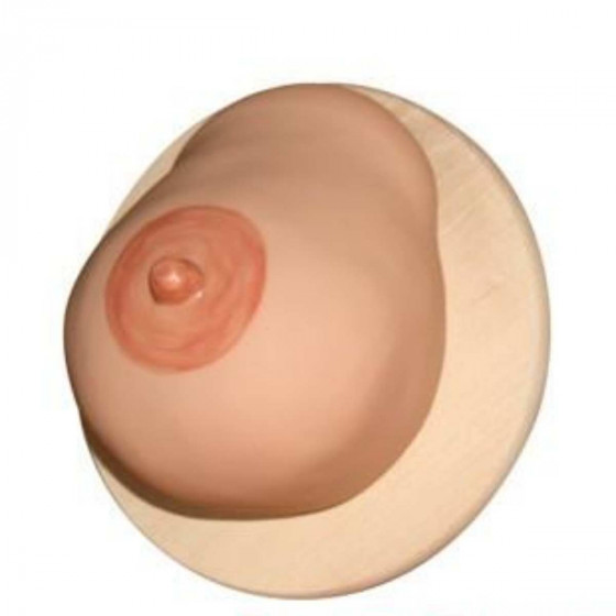 Ensemble démonstration d'allaitement : modèle de sein et tête de poupon