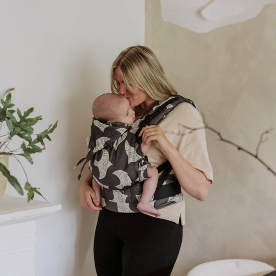 Fidella Fusion Toddler baby carrier