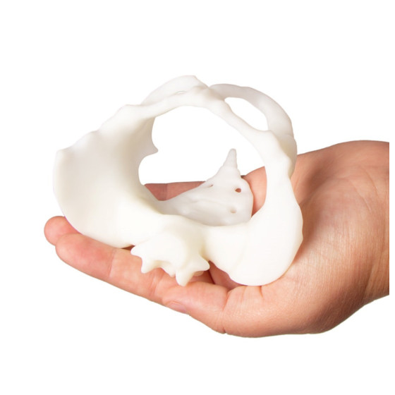 Mini pelvis with birthing doll