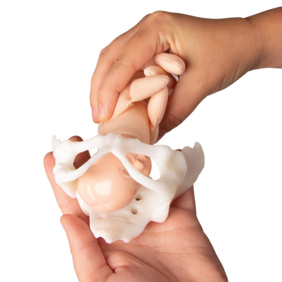 Mini pelvis with birthing doll