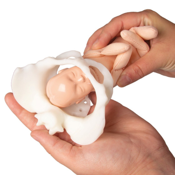 Mini pelvis with birthing doll