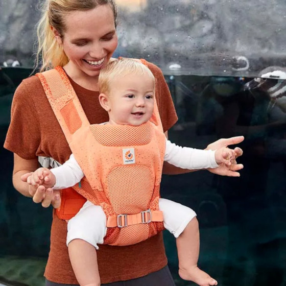 Ergobaby baby carrier Aerloom