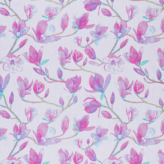 LennyLamb LennyLight  Magnolia