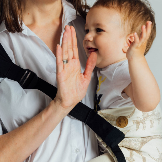 LennyLamb LennyTwin Jurassic Park Ice Desert - adjustable twin carrier