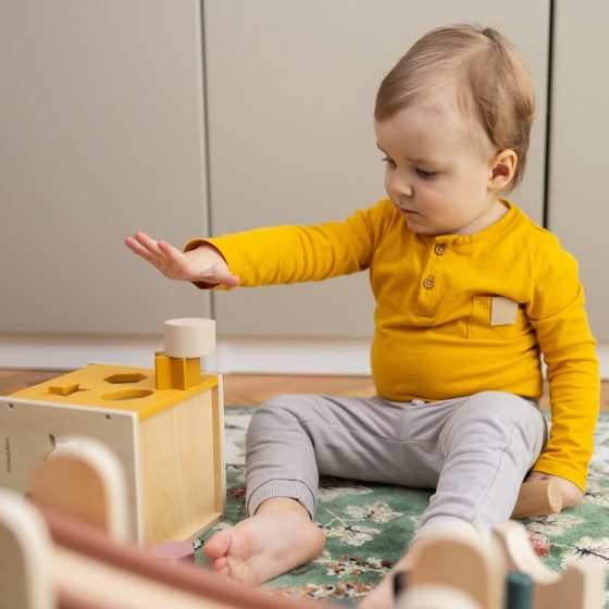 Petite&Mars - Wooden toy sorter Gravity Wood of Mars 12m+