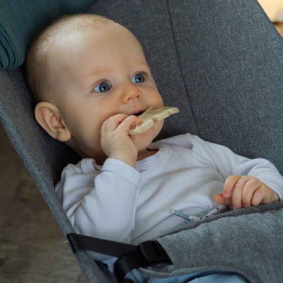 Petite&Mars - Silicone teether TAKE&MATCH 6m+