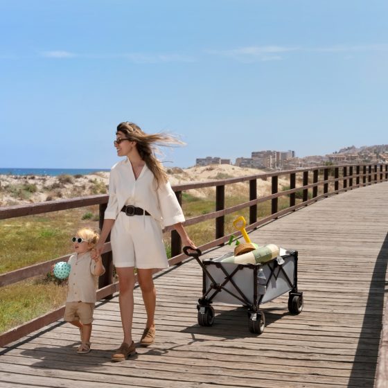 KinderKraft ROLLSTER Foldable Transport Wagon