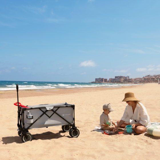 KinderKraft ROLLSTER Foldable Transport Wagon