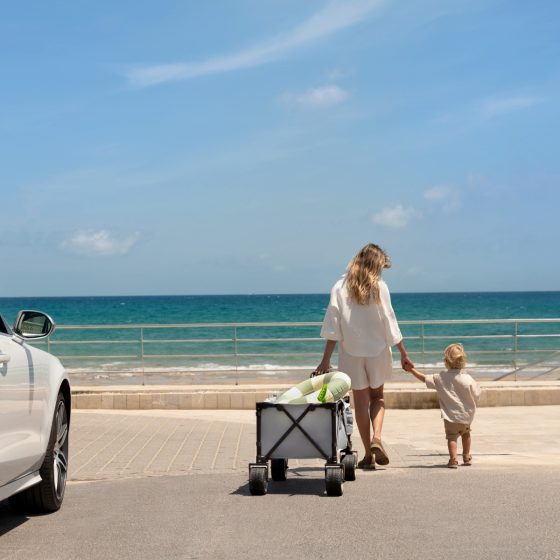 KinderKraft ROLLSTER Foldable Transport Wagon