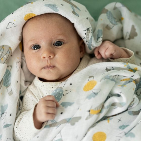 Petite&Mars - Misty-Set of 2 Bamboo muslin swaddles 120x120