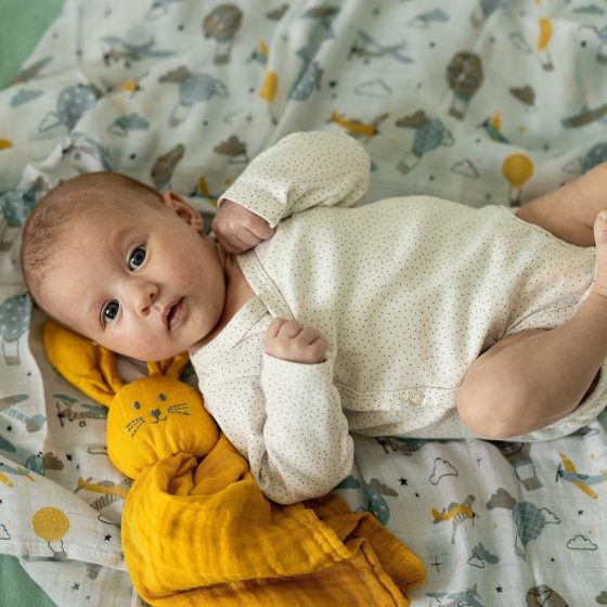 Petite&Mars - Misty-Set of 2 Bamboo muslin swaddles 120x120