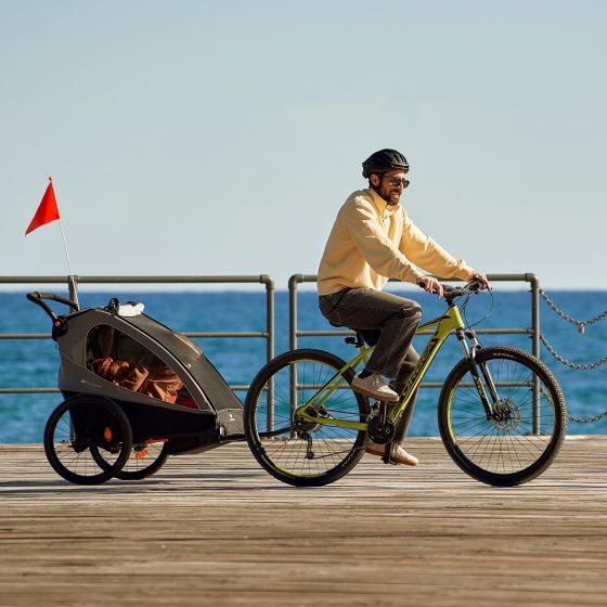 KinderKraft Nava Walk - 2en1 Remorque vélo enfant + Poussette Kinderkraft
