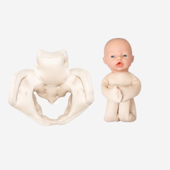 Kit de démonstration de naissance : Fœtus + Bassin féminin en mousse