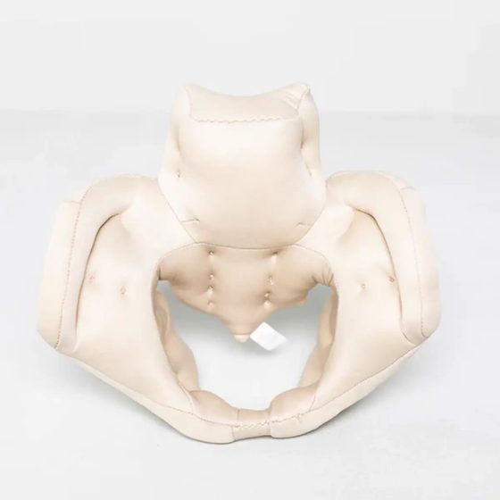 Kit de démonstration de naissance : Fœtus + Bassin féminin en mousse