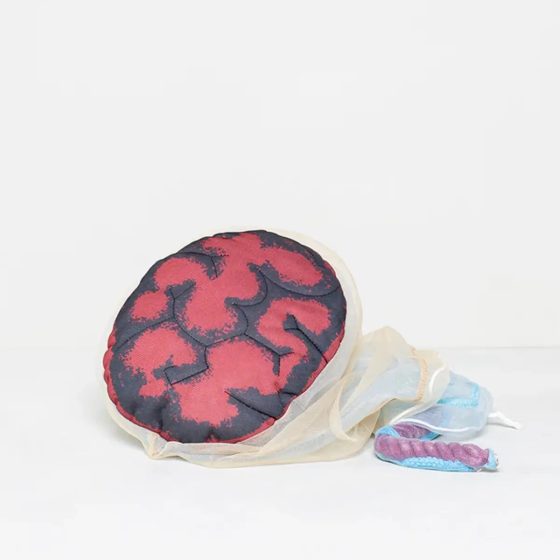 Labor and Delivery Demonstration Kit with Fetus, Placenta and Foam Pelvis