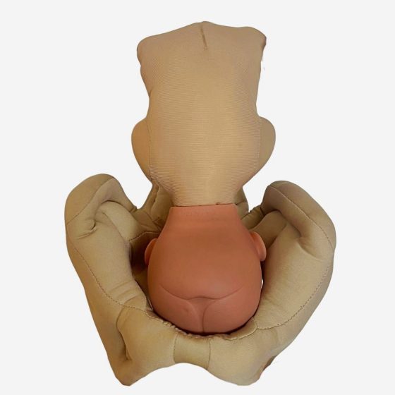 Labor and Delivery Demonstration Kit with Fetus, Placenta and Foam Pelvis