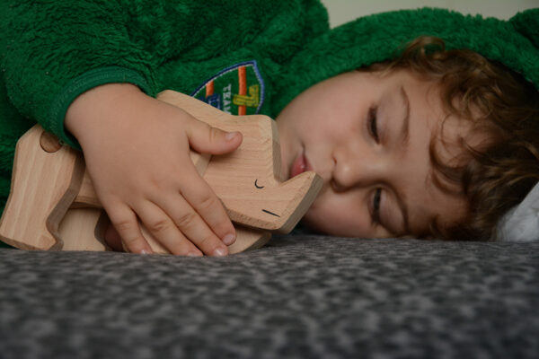 Rhinocéros Jouet en Bois Bajo - Collection ToBe