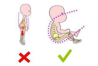 positon du dos bien arrondi portage physiologique Boba X