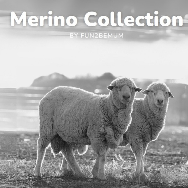 Collection MERINOS