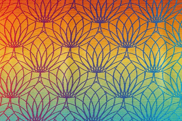 Lotus Rainbow