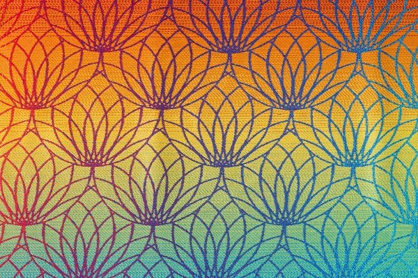 Lotus Rainbow