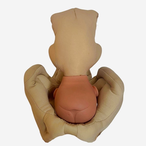 Kit de démonstration de naissance  Fœtus + Placenta + Bassin en mousse