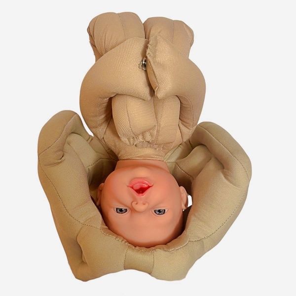Kit de démonstration de naissance  Fœtus + Placenta + Bassin en mousse