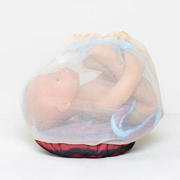 Placenta et cordon ombilical de démonstration pour sages-femmes