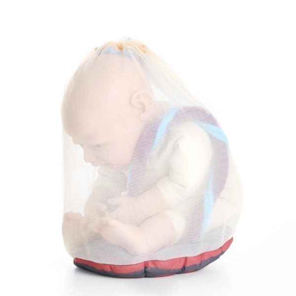 Fœtus de démonstration 45 cm 500 g