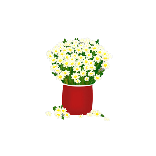 chrysanthemum-flower-blog-naturiou