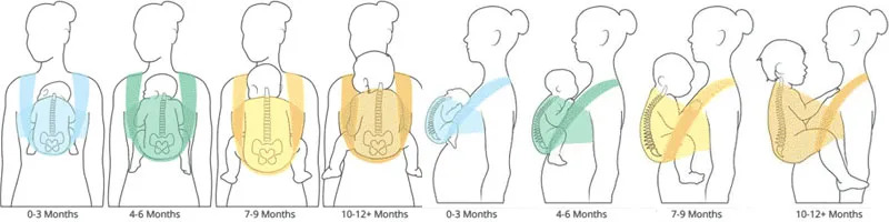 Portage physiologique par mois et âge selon un osteopathe